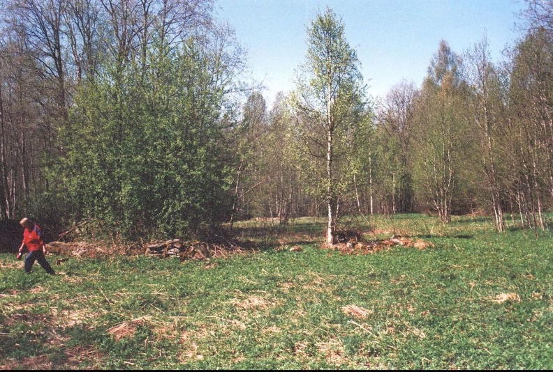 Katoavaa peltomaisemaa (Eino Kortelainen) IMG-001.jpg