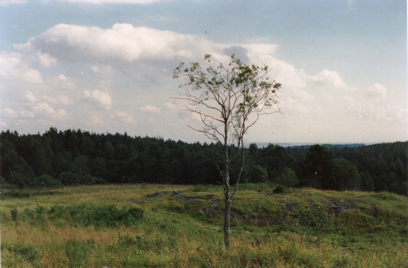 Kivelä, aitan paikka kiveyksen päällä, taustalla Jänisjärvi v. 1990